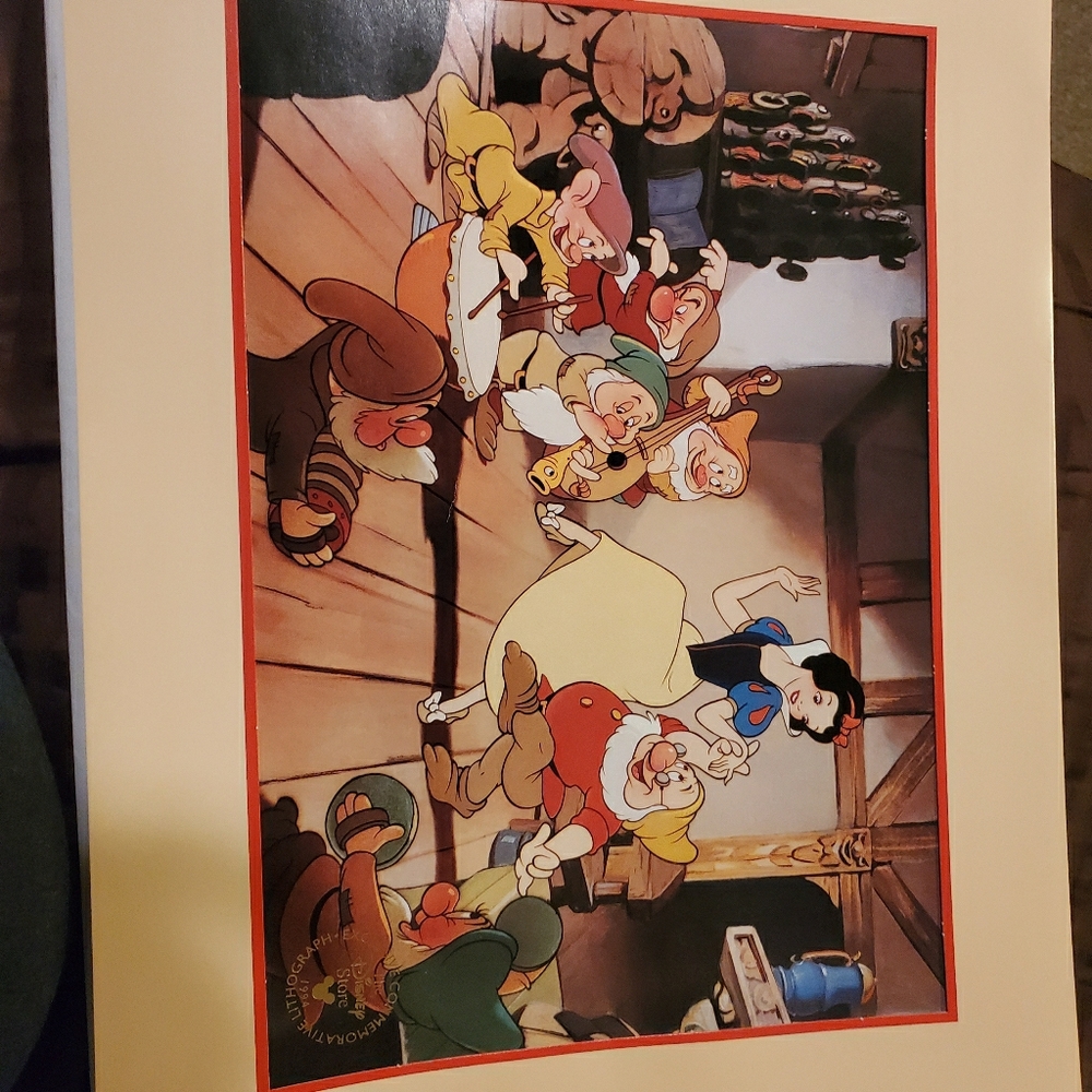 Snow white and the seven dwarfs picture